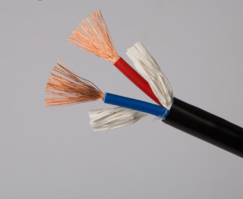 Corde di alimentazione a base di rame GB 2 core RVV0.5 0.75 1.0 1.5 2.5 4 quadrati di monitoraggio filo di involucro morbido
